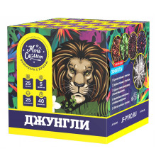 Фейерверк салют 1 калибр 25 выстрелов  сек. MC C25-25/01 Джунгли (Joker Fireworks)