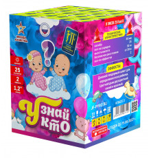 Фейерверк салют 1.2 калибр 25 выстрелов  сек. JF DMC30-25 Flash B Узнай кто (Joker Fireworks)
